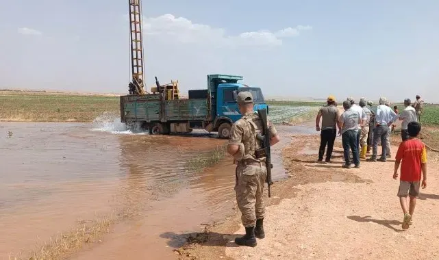 Şanlıurfa'da trajikomik olay