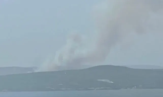 Çanakkale'de orman yangını
