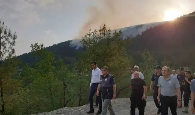 Sinop'taki orman yangını kontrol altına alındı