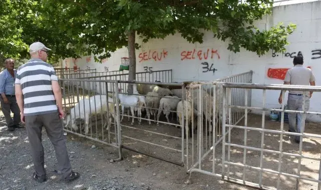 Edremit Kurban Bayramı'na hazır