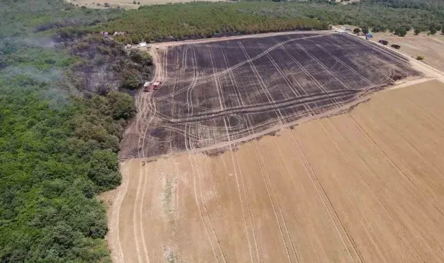 Silivri'de 80 dönümlük arazi, yangında zarar gördü