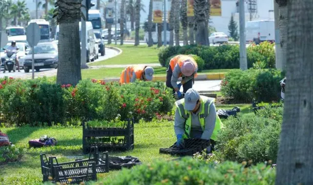 Kavşak ve refüjlere yaz dokunuşları