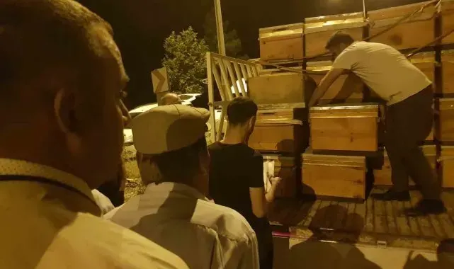Siirt'te 2 bin adet arılı kovan dağıtıldı