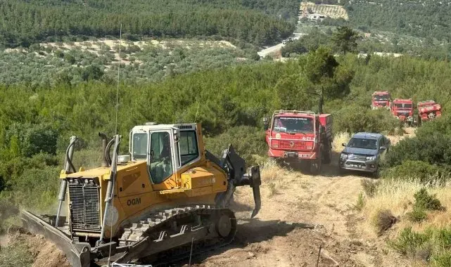 Bergama'daki orman yangını kontrol altına alındı