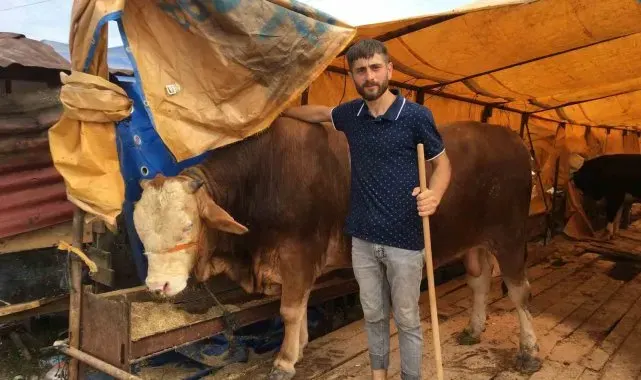 Kocaeli'de kurbanlıkların yarısı satıldı