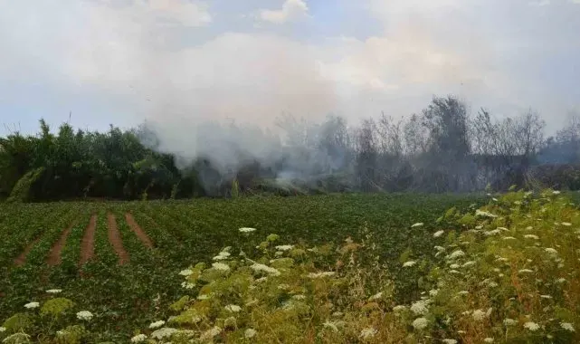 Antalya'da çıkan yangın ağaçlara sıçradı, vatandaş korkuya kapıldı
