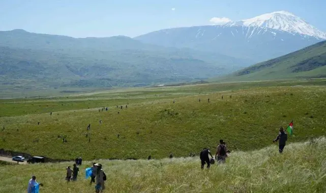 Ağrı Dağı eteklerinde toplanan bitkilerinden aromatik yağlar üretilecek