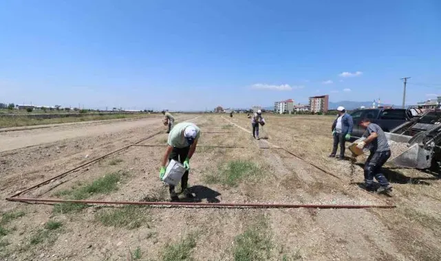 Turgutlu'da Kurban Bayramı için hummalı hazırlık