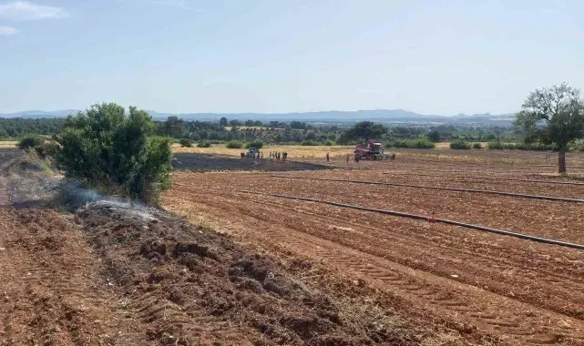 Çanakkale'de tarım alanında başlayan yangına havadan ve karadan müdahale ediliyor