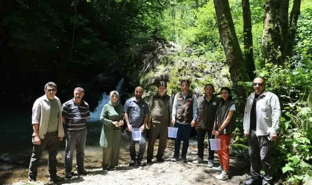 Bursa'nın iç sularına 12 bin alabalık salımı yapıldı