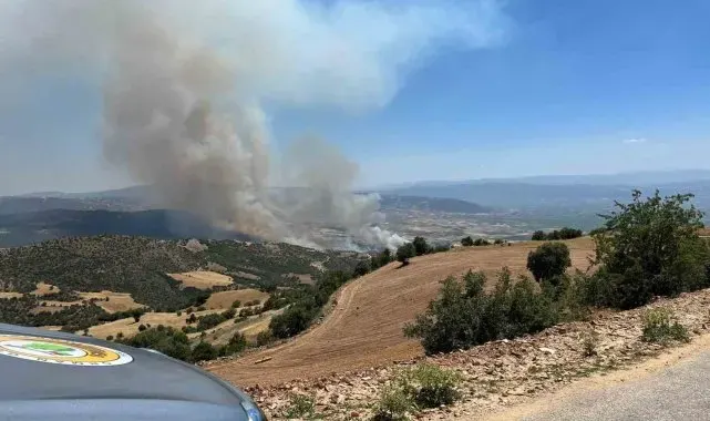 Manisa Valiliğinden yangına ilişkin açıklama