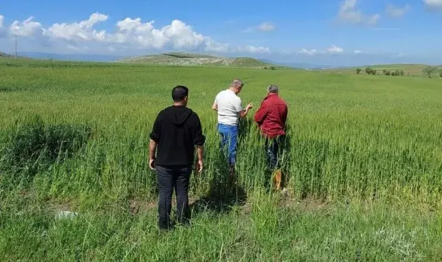 Dolu ve selden etkilenen köylerde zarar tespit çalışması başlatıldı