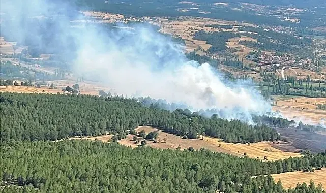 Emet'te ormanlık alana sıçrayan yangın kontrol altına alındı