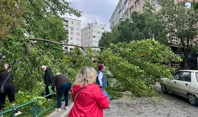 Devrilen ağaç yolu kapattı