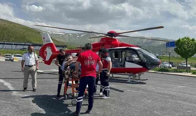 Arıların soktuğu hasta ambulans helikopterle Tatvan'a sevk edildi