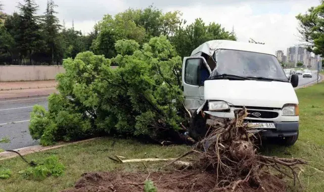 Yoldan çıkan panelvan araç refüjdeki ağaca çarptı: 1'i ağır 2 yaralı