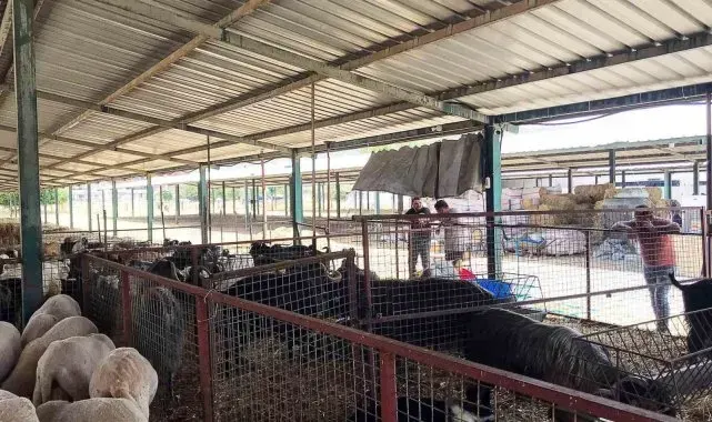 Ortaca'da kurban kesim yerleri kontrolden geçti