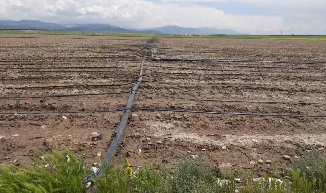 Niğde'de üreticilere 110 milyon 216 bin 58 TL'lik hibe desteği sağlanacak