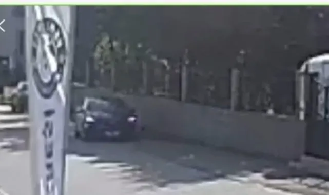 Otomobilin altında kalan köpek öldü
