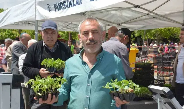 Pursaklar'da 100 bin meyve fidesi dağıtıldı