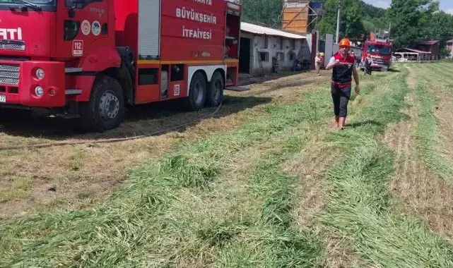 Tavuk çiftliğinde panik oluşturan yangını itfaiye söndürdü