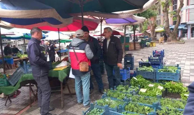 Tavşanlı'da fide satışı yapan kişiler denetlendi