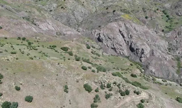 Elazığ'daki kan donduran cinayetin dehşet veren detayları ortaya çıktı
