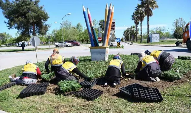 Samsun 500 bin kadife çiçeği ile renklendirildi