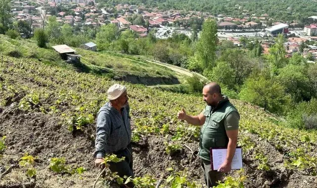 Sahayı adım adım dolaşıyorlar