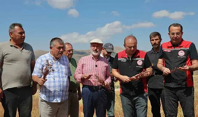 Başkan Çolakbayrakdar: "Kocasinan'ı arıcılıkta merkeze dönüştüreceğiz, şehre yeni bir tarım ürünü kazandıracağız"