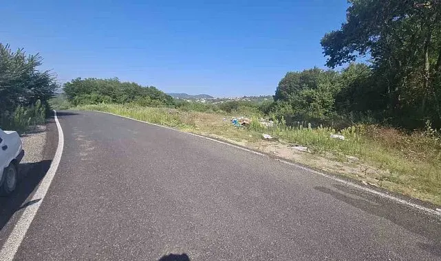 Zonguldak'ta ormanlık alana atılan cam şişeler yangın riski oluşturdu