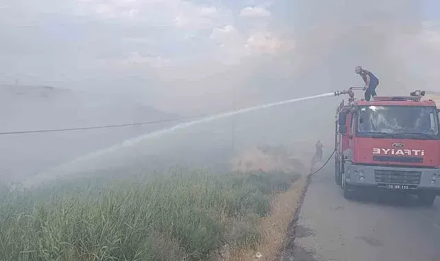Siirt Üniversitesi Kezer yerleşkesi yakınlarında örtü yangını: 100 dönümden fazla alan zarar gördü