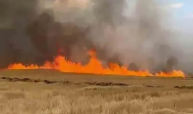 Şarkışla'da 5 bin dönük ekili buğday tarlası alevlere teslim oldu