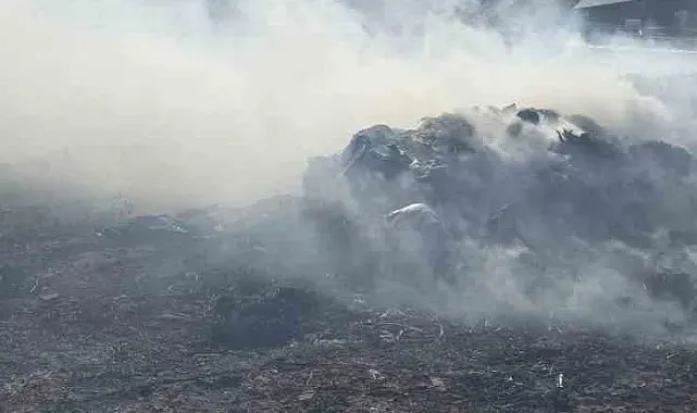 Bandırma'da besi çiftliği yakınında otluk alanda yangın