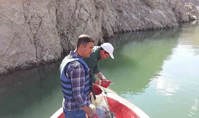 Van'da sazangiller av yasağı sona erdi
