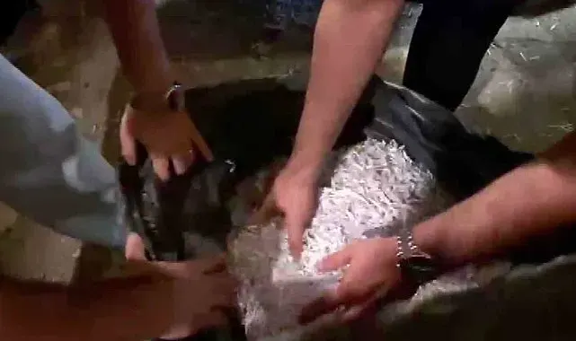 Alihan Kuriş Suç Örgütü soruşturmasında evrak imha ihbarı doğrulandı
