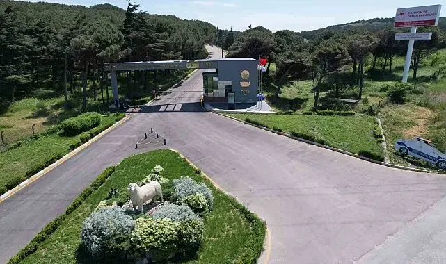 Bandırma Koyunculuk Araştırma Enstitüsü'nün TÜBİTAK projesine destek