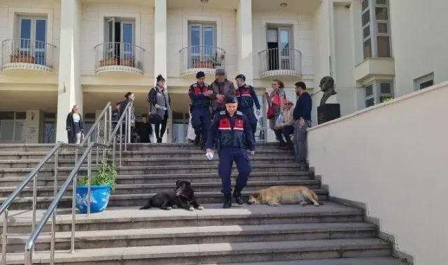 Bodrum'da 12 hayvanı zehirlediği iddia edilen şahıs yakalandı