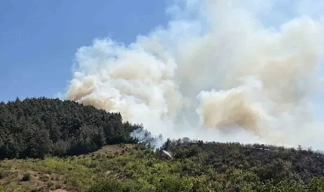 Balıkesir'de otluk alanda başlayan yangın ormana sıçradı