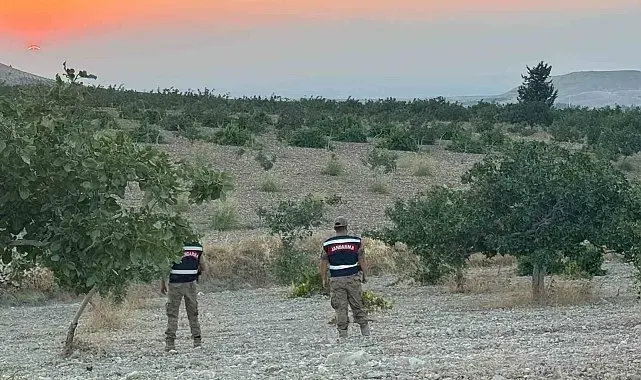 Jandarmadan fıstık nöbeti
