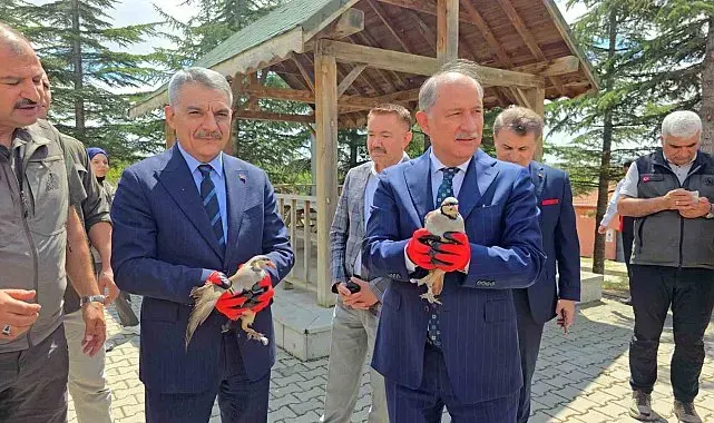 Bakan Yardımcısı Polat, 10 bin keklik kapasiteli tesisi inceledi