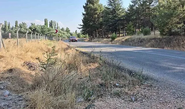 Mahalle muhtarından yol kenarlarındaki kurumuş otlar için 'yangın' uyarısı