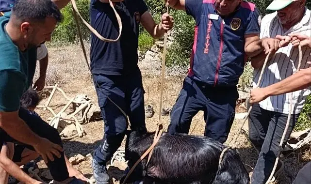 Su kuyusuna düşen keçi itfaiyenin operasyonuyla kurtarıldı