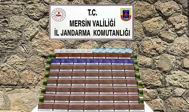 Mersin'de 3 bin 850 paket kaçak elektronik tütün ele geçirildi