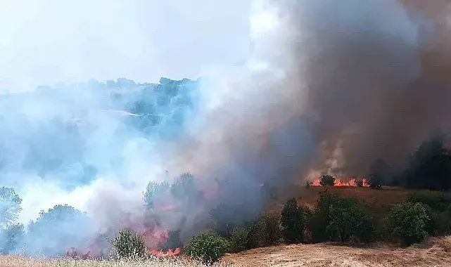 Pütürge'de orman ve örtü yangınına havadan müdahale