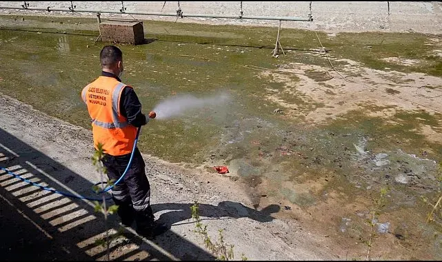 Elazığ'da ilaçlama çalışmaları sürüyor