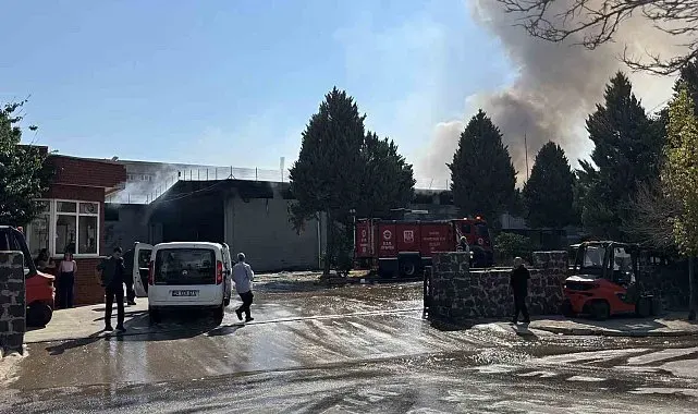 Gaziantep'te tekstil fabrikasında yangın: Ekiplerin müdahalesi sürüyor