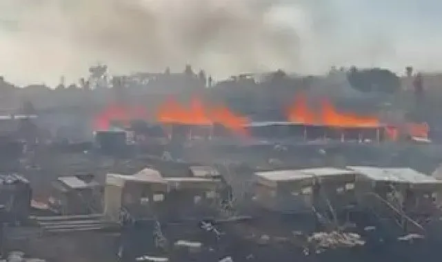 Denizli'de yangında arılar telef oldu