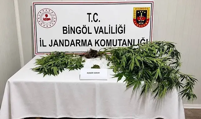 Bingöl'de kesinleşmiş hapis cezası bulunan 6 zanlı yakalandı