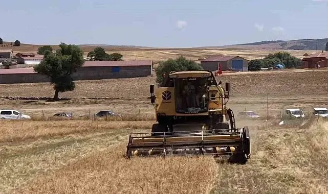 Kütahya'da 18 farklı nohut çeşidi aynı tarlada tanıtıldı